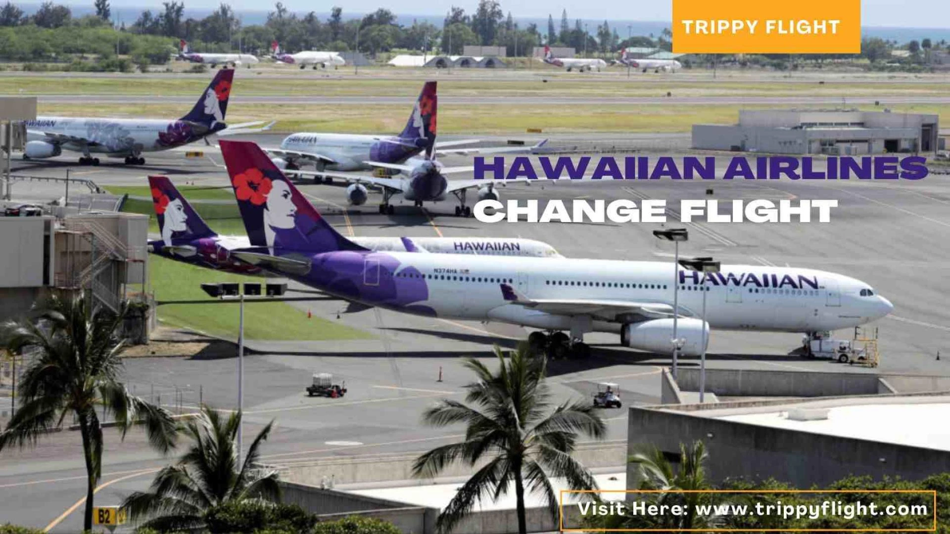 The Ultimate Guide to Changing Flights on Hawaiian Airlines