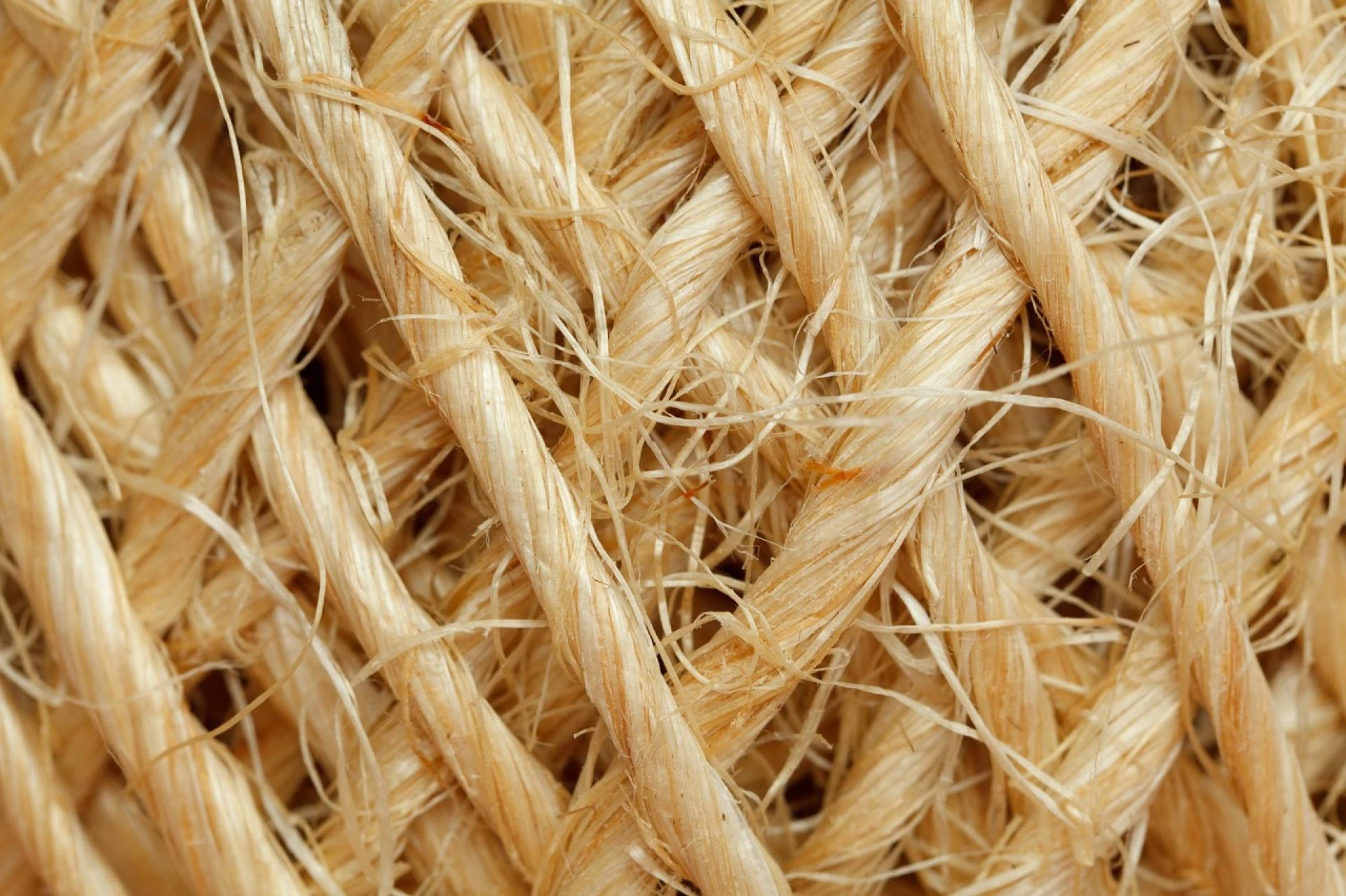 Hemp Fiber Market to Reach US$5.76 billion in 2023: Market Overview and Key Trends