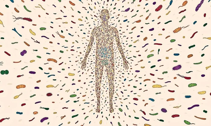 Human Microbiome Market to Reach US$ 617.9 Mn by 2023: Coherent Market Insights