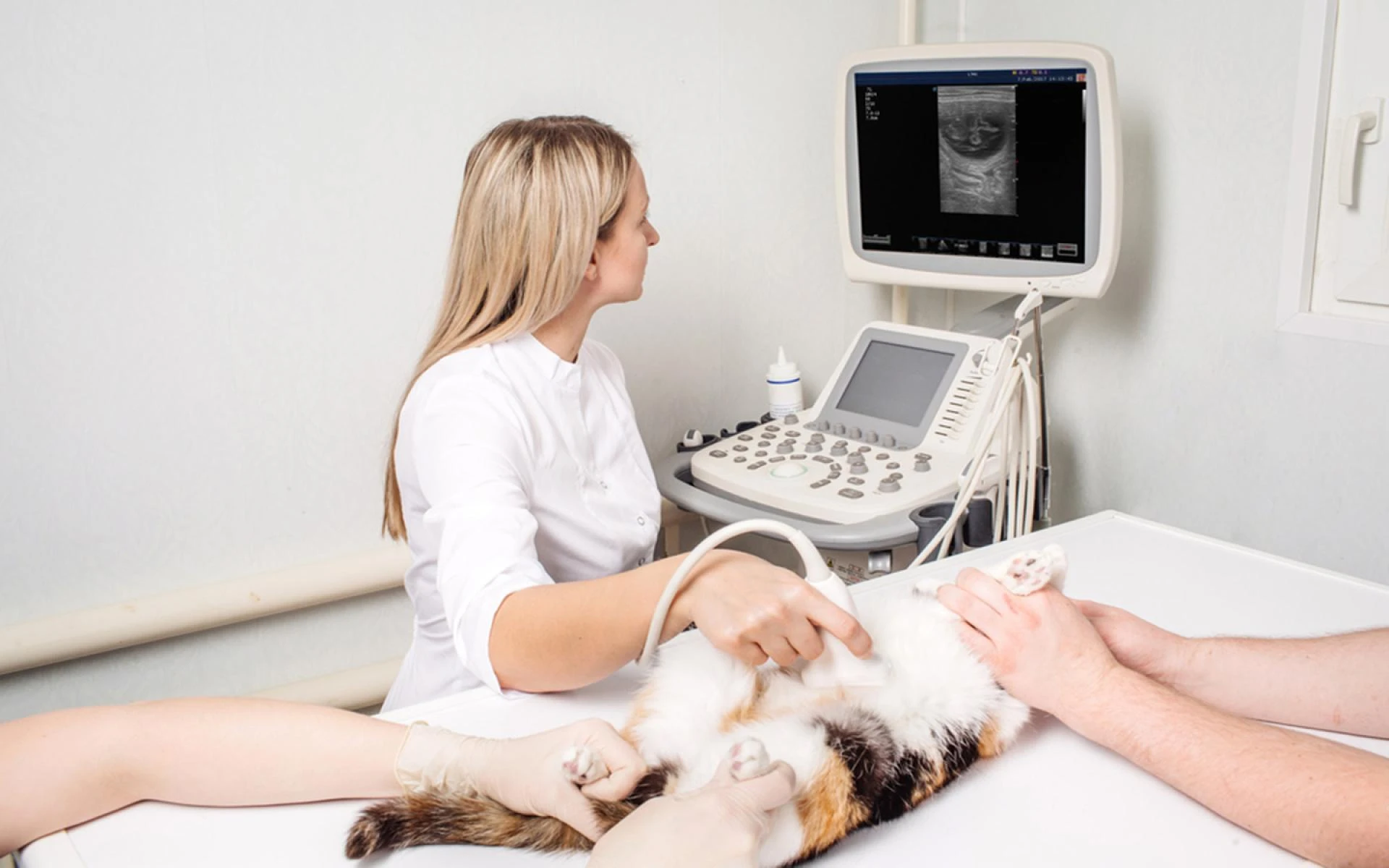Global Veterinary Diagnostic Imaging Market Is Estimated To Witness High Growth Owing To Technological Advancements and Increasing Pet Adoption Rates