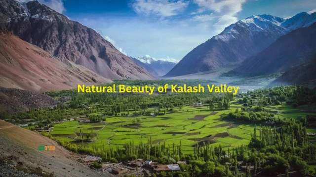 https://travelsdomain.com/kalash-valley-pakistan-a-comprehensive-guide/