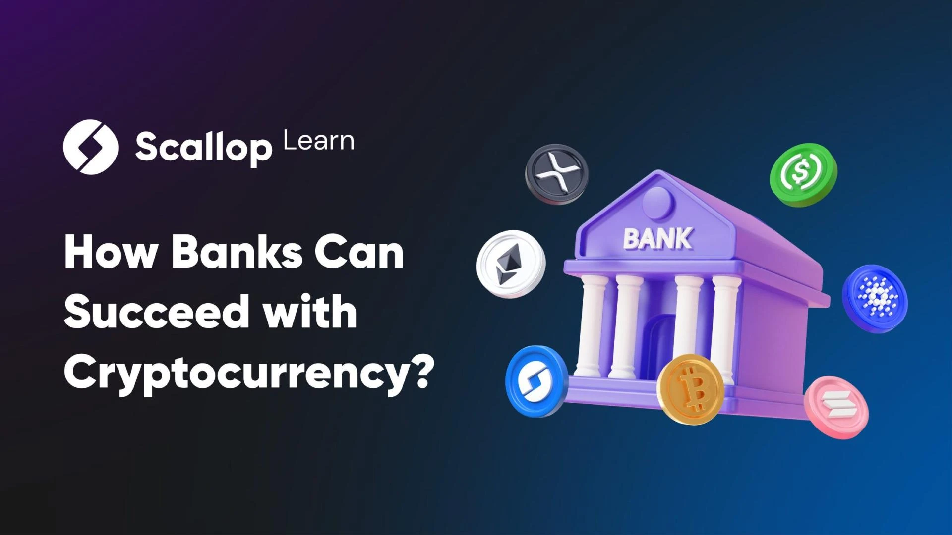 Exploring the Magic of Scallopx Crypto Banking App