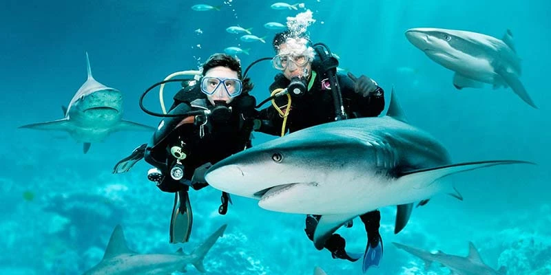 Exploring Phuket's Underwater World: A Guide to Dive Sites