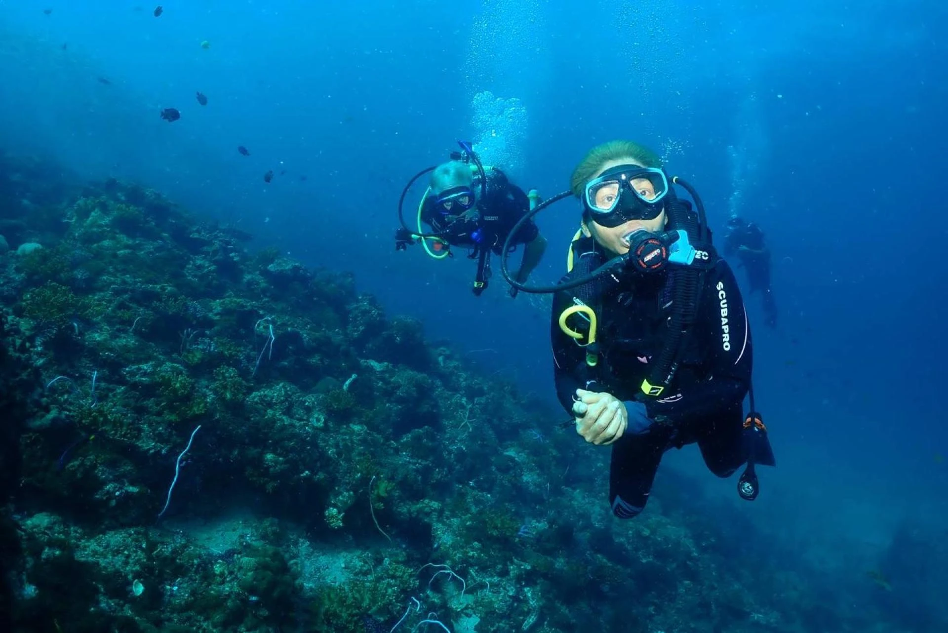 Choose The Best Beginner Scuba Diving Course In Phuket- Here's How?