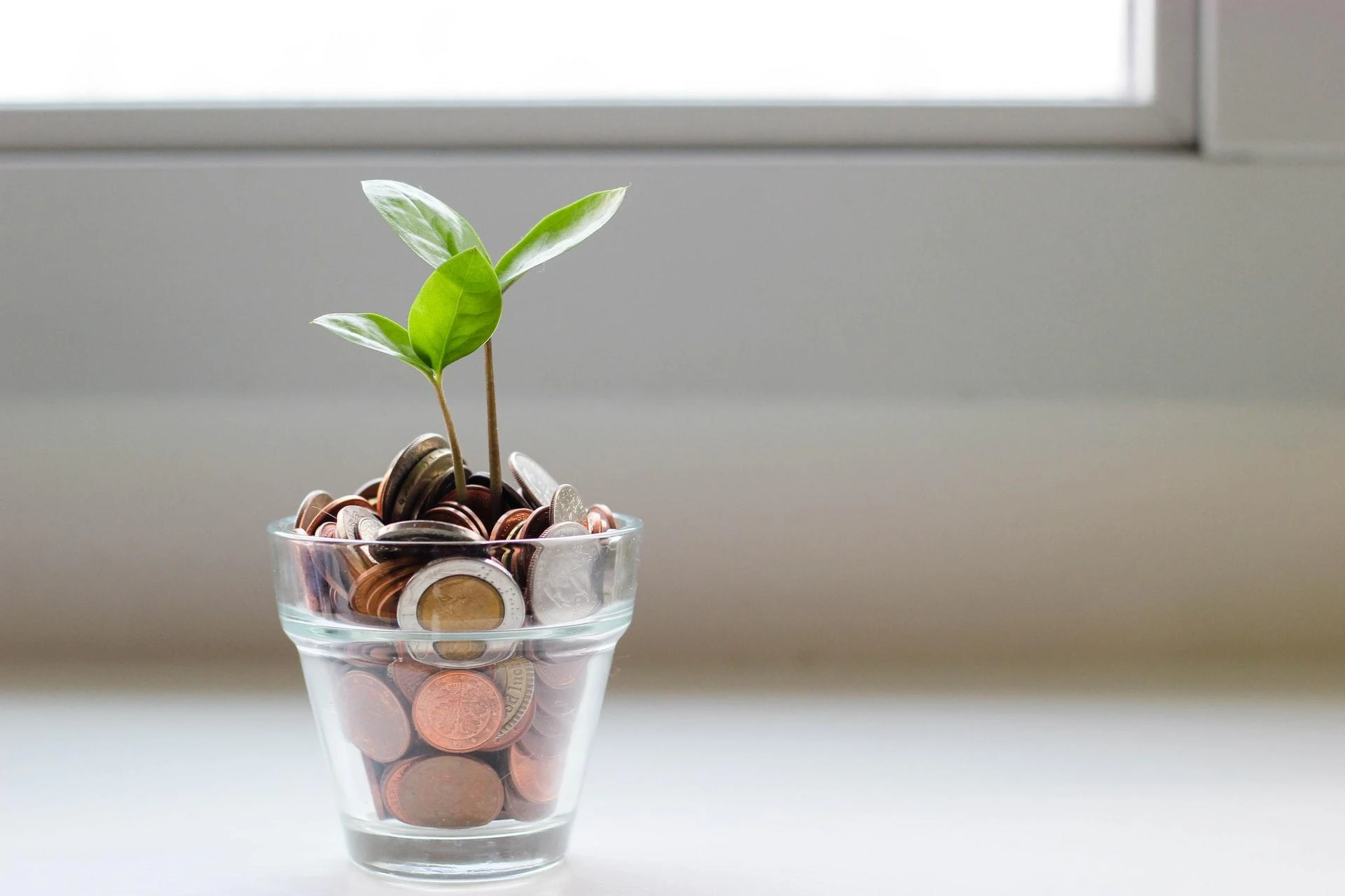 What is Digital Growth Strategy?