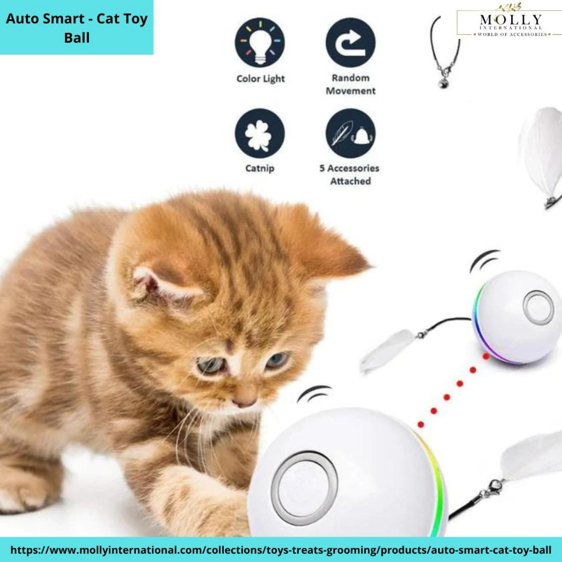 Find the best place to buying online Eye-Catching iPhone Cases, and Auto Smart - Cat Toy Ball