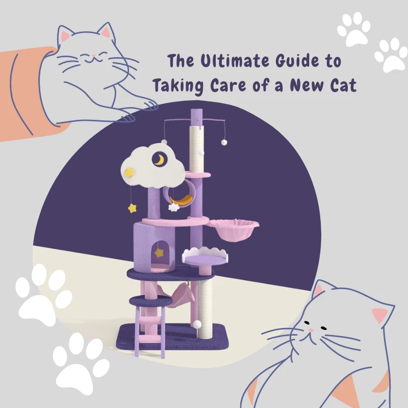 The Ultimate Guide to Taking Care of a New Cat?