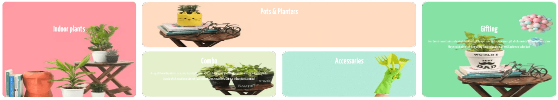 Best Groot planter in India