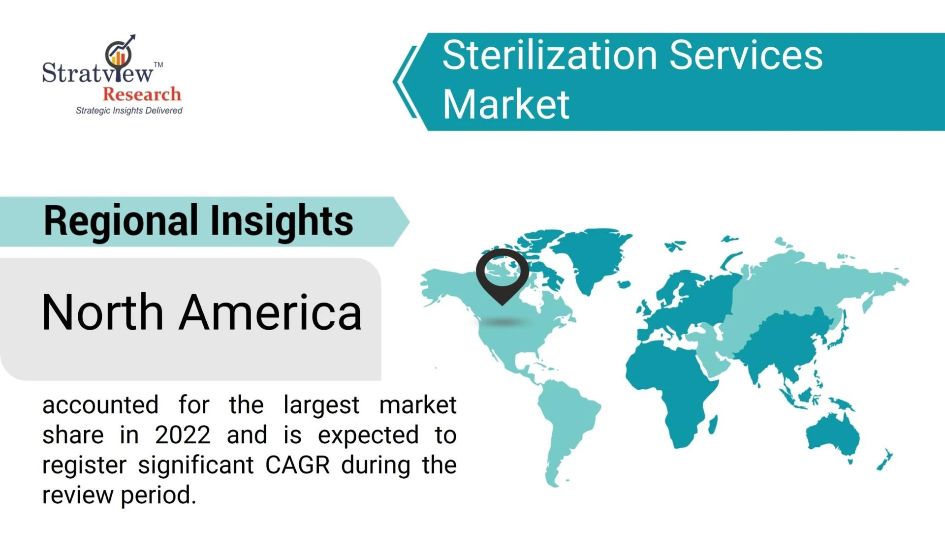 Market Sterilization: Key Players and Strategies in Focus