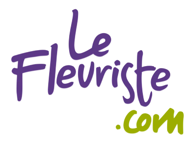 Fleuriste San-jose