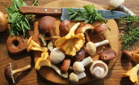 Market Insights on Growth of Edible Mushroom Market Size during 2020– 2027