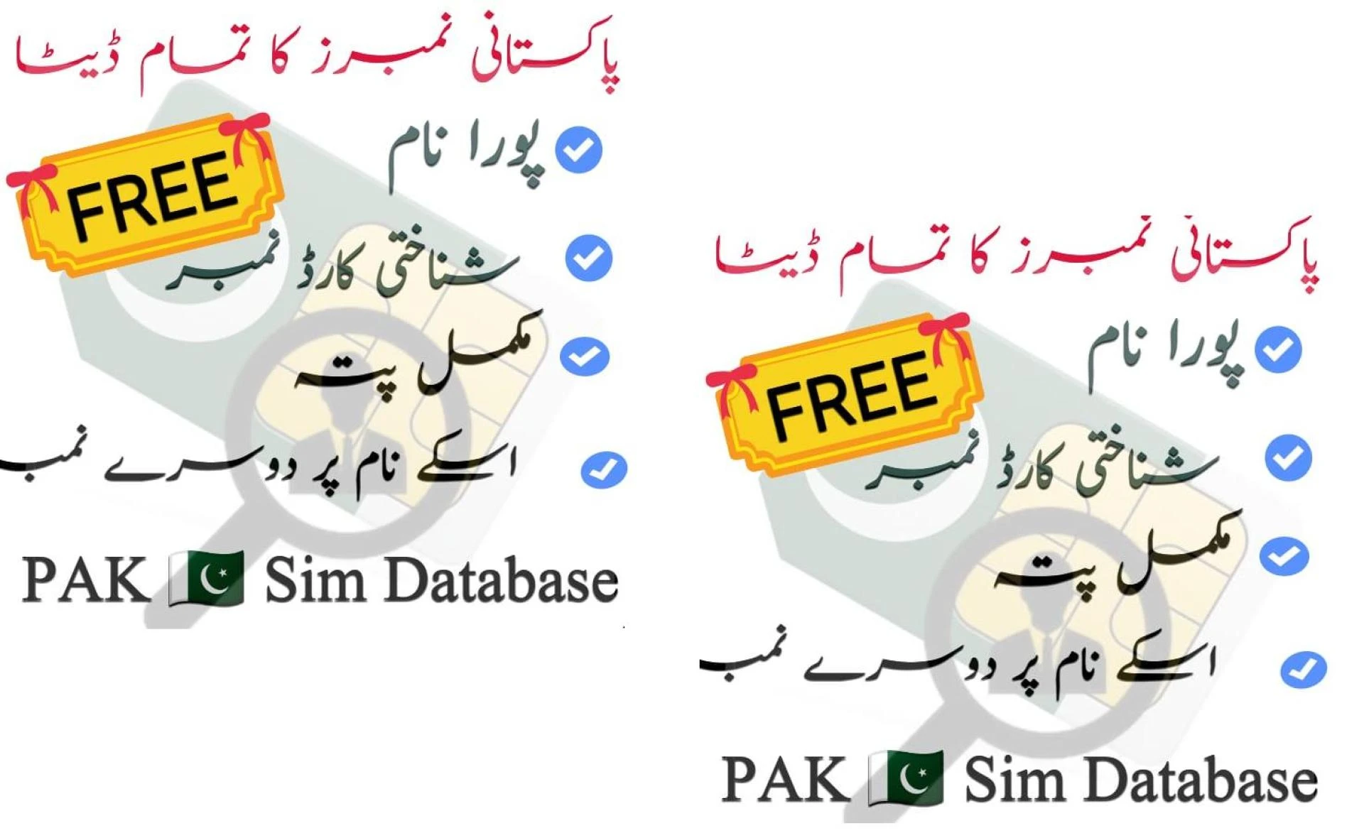 Pak Sim Data: A Paradigm Shift in Connectivity