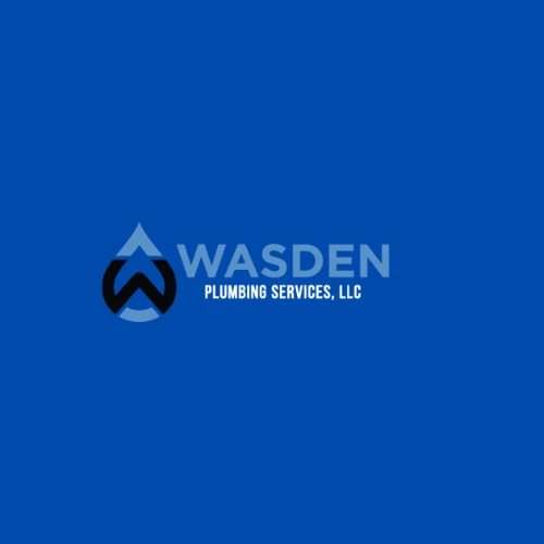 The role of a plumber in water heater repair