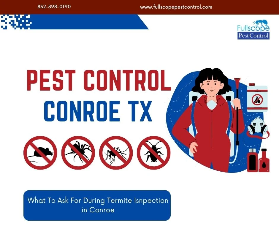 What To Ask For During Termite Inspection in Conroe
