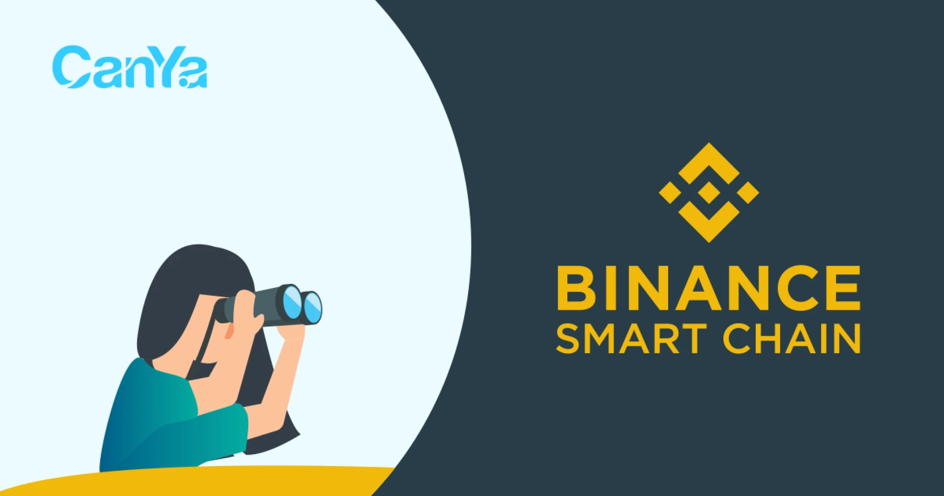 BINANCE SMART CHAIN DEVELOPMENT COMPANY IN NEW YORK
