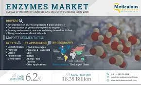 Enzymes Market Worth $18.38 billion by 2029