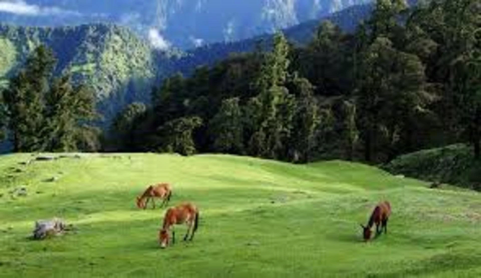 How Does Attending A Caribbean Medical School Affect Your Eligibility To Practice In The U.S.?