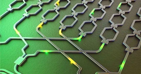 The Programmable Silicon Market: Unlocking Innovation and Flexibility