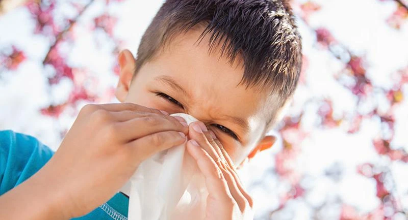 Non-Medication Treatments for Seasonal Allergic Rhinitis Treatment