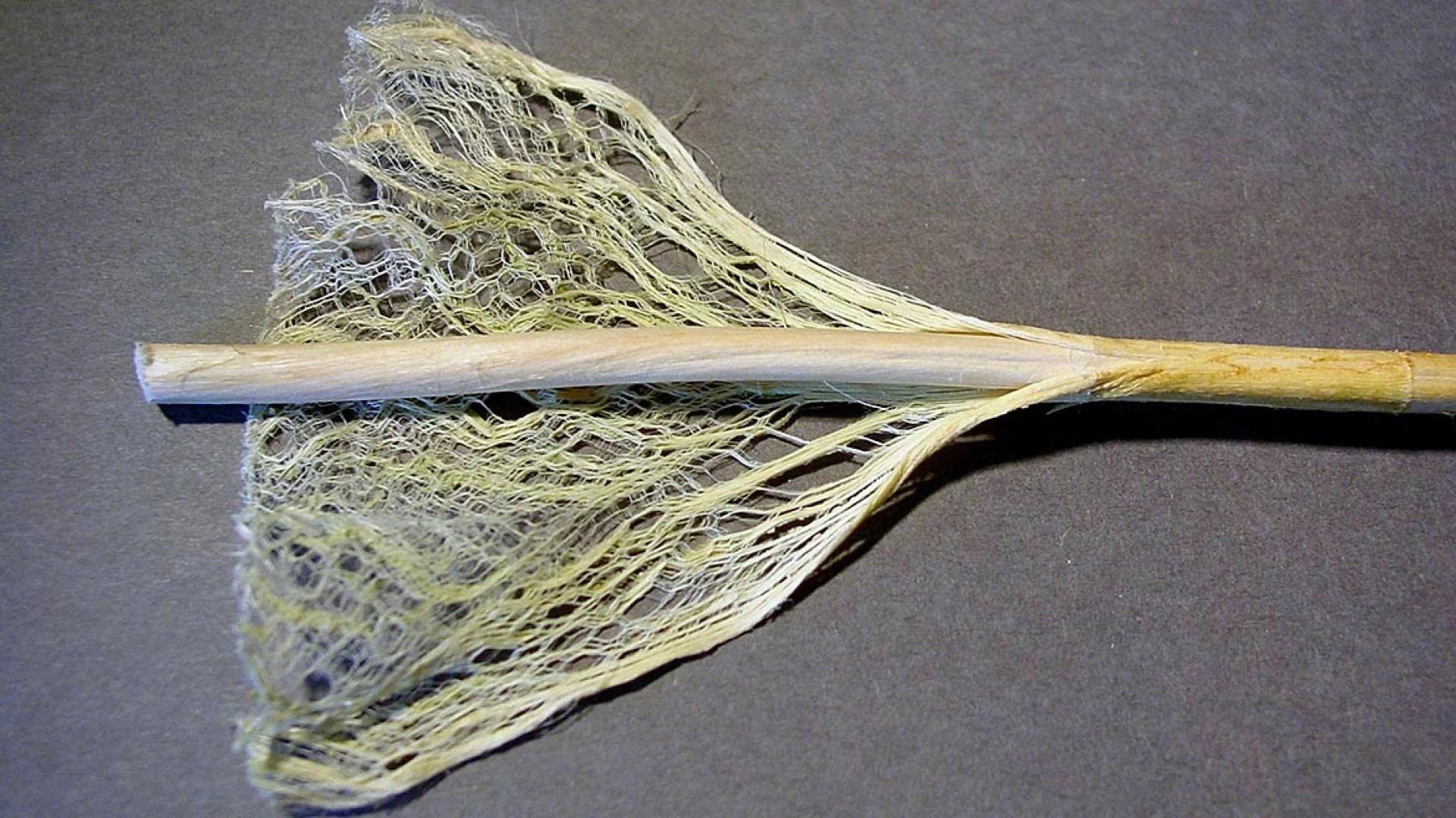 The Renewable and Versatile Nature of Hemp Fiber