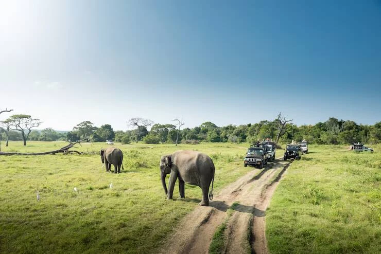 What is the process for booking Jeep Safari for Jim Corbett National Park?