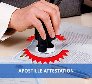 Mastering Global Document Verification: A Definitive Guide to Apostille Attestation