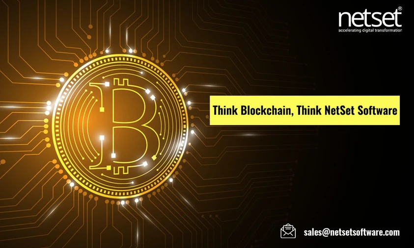 Services of NetSet Software