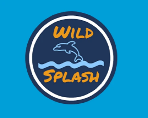 Join The Best Private Swimming Lessons In Singapore