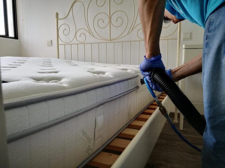 Mattress Water Extraction Experts in Phenix City AL: Providing Top-notch Solutions for a Dry and Healthy Home