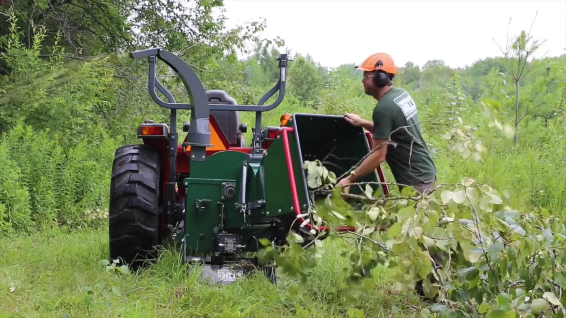 4 Tips for Cleaning Up Your Forested Property Before Winter Arrives