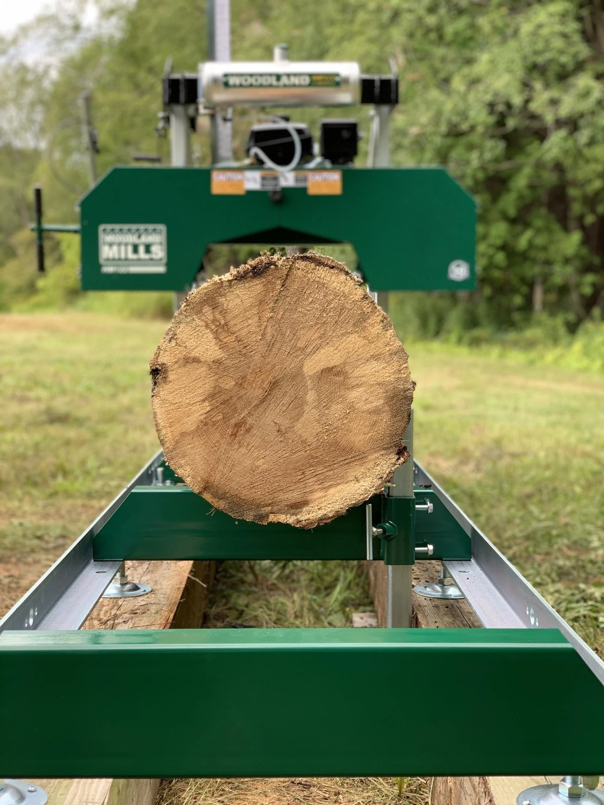 5 Crucial Tips for Maintaining Your Forested Property