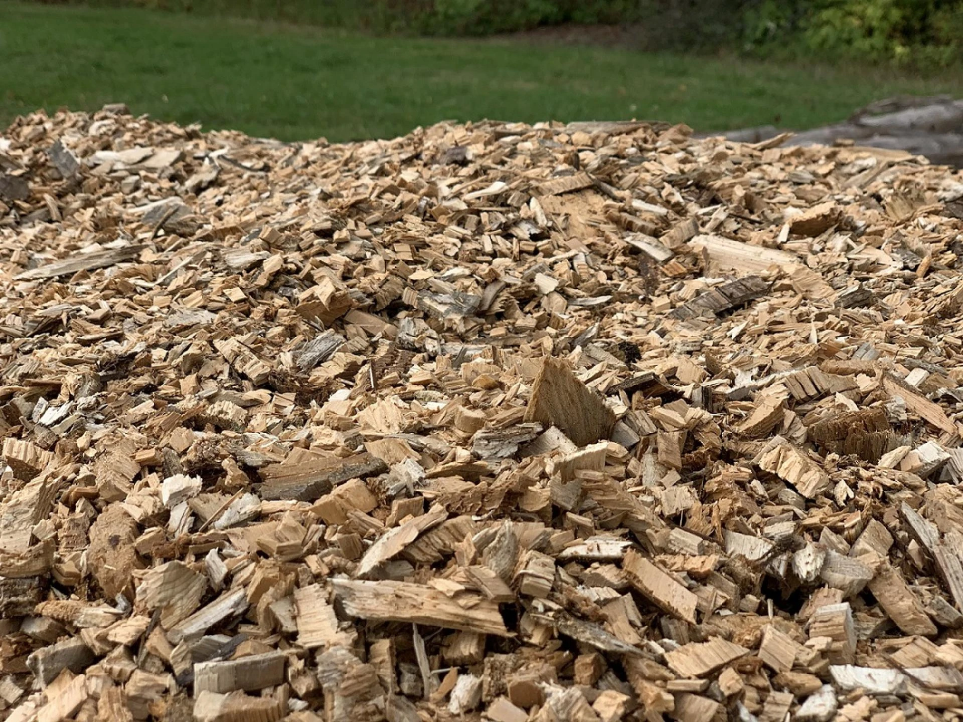 4 Tips for Creating Defensible Space Around Your Home or Cabin