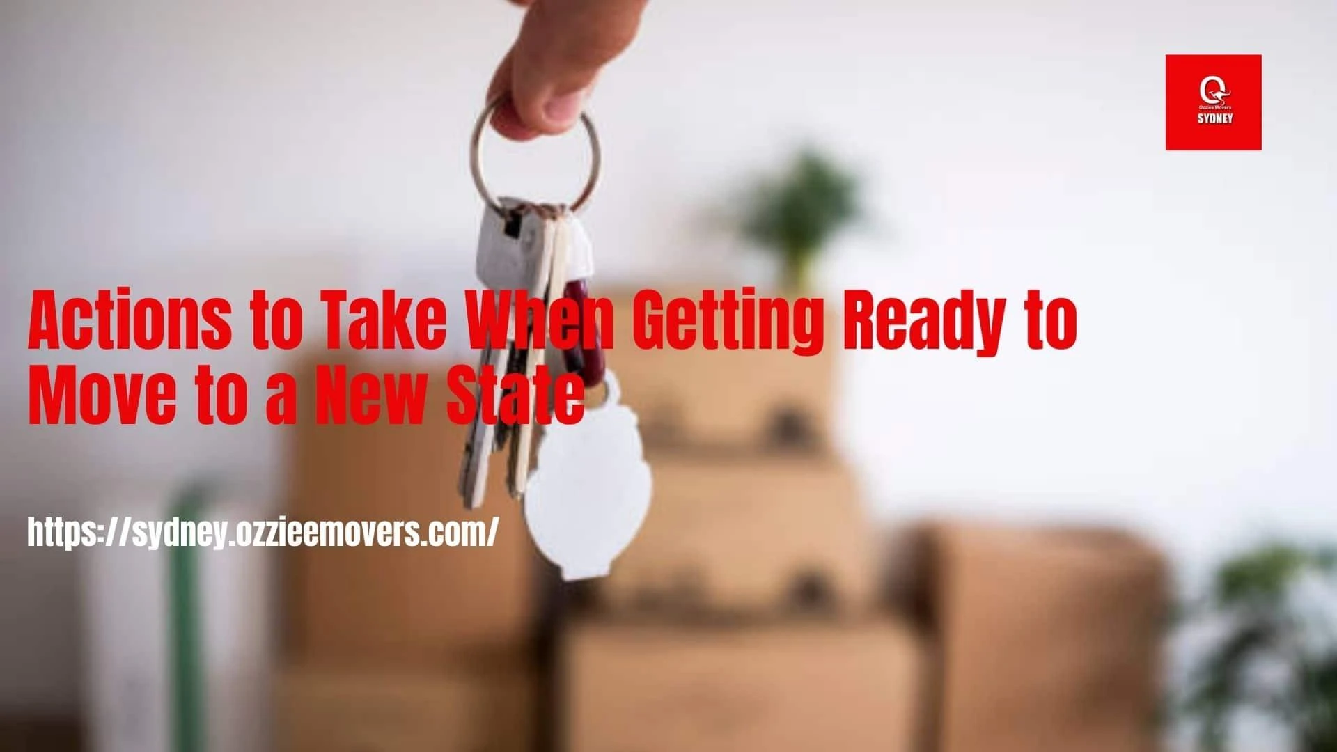 Actions to Take When Getting Ready to Move to a New State