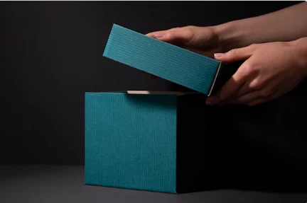 Unlocking the Latest Trends in Custom Hair Packaging | Eco-Friendly to Luxury