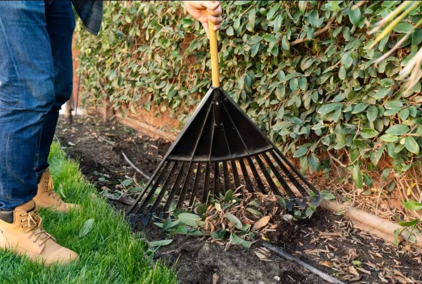 Understanding Basic Lawn Care Tools