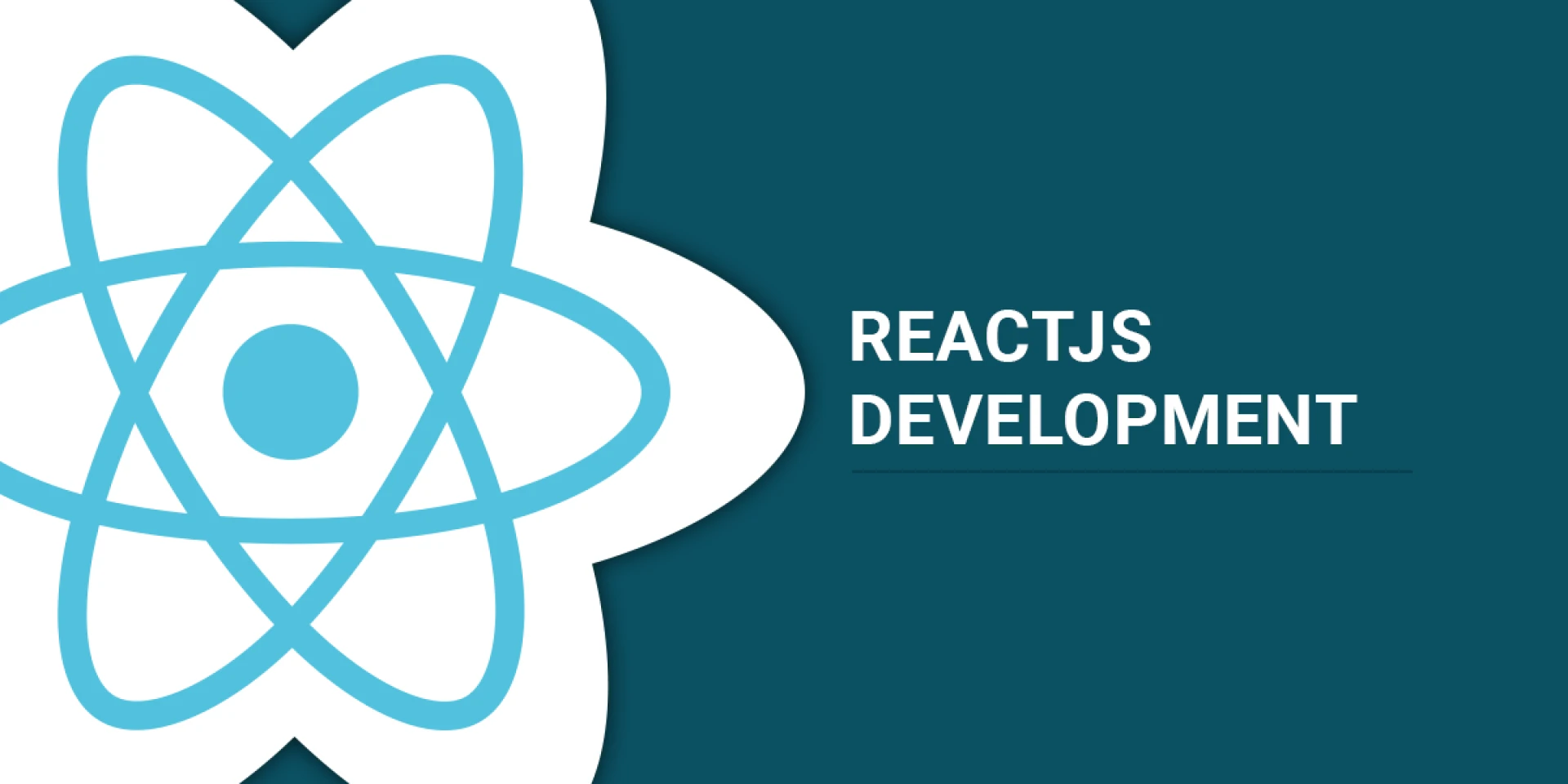 REACT JS WEB DEVELOPMENT SERVICES