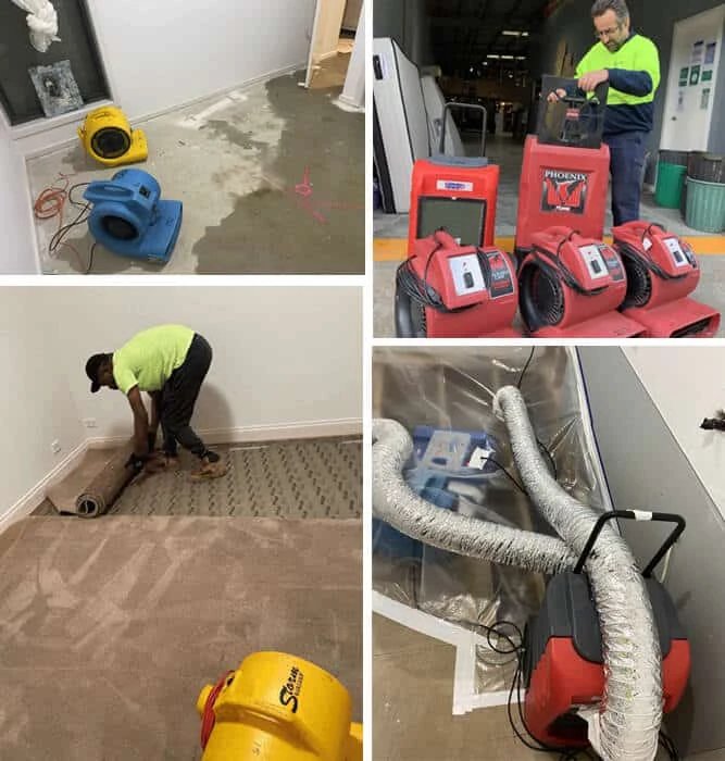 How To Hire A Reliable Water Damage Carpet Restoration Expert