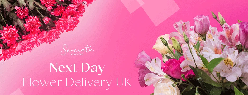 Express Elegance: Next Day Flower Delivery in UK with Serenata Flowers