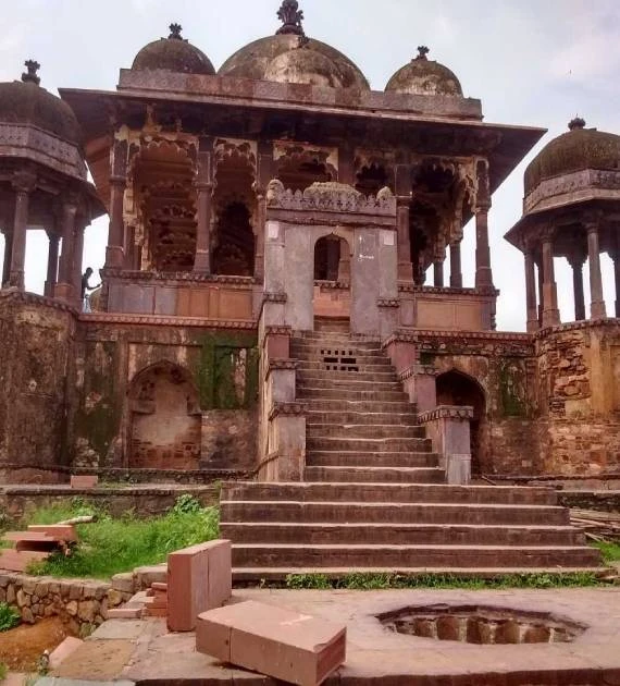 Discover the Ultimate Wilderness Experience at Jungle Book Resort - The Best Luxury Jungle Resort in Ranthambore