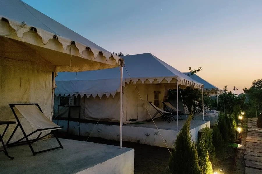 The Ultimate Ranthambore Experience: Staying at the Best Resorts with World-Class Amenities