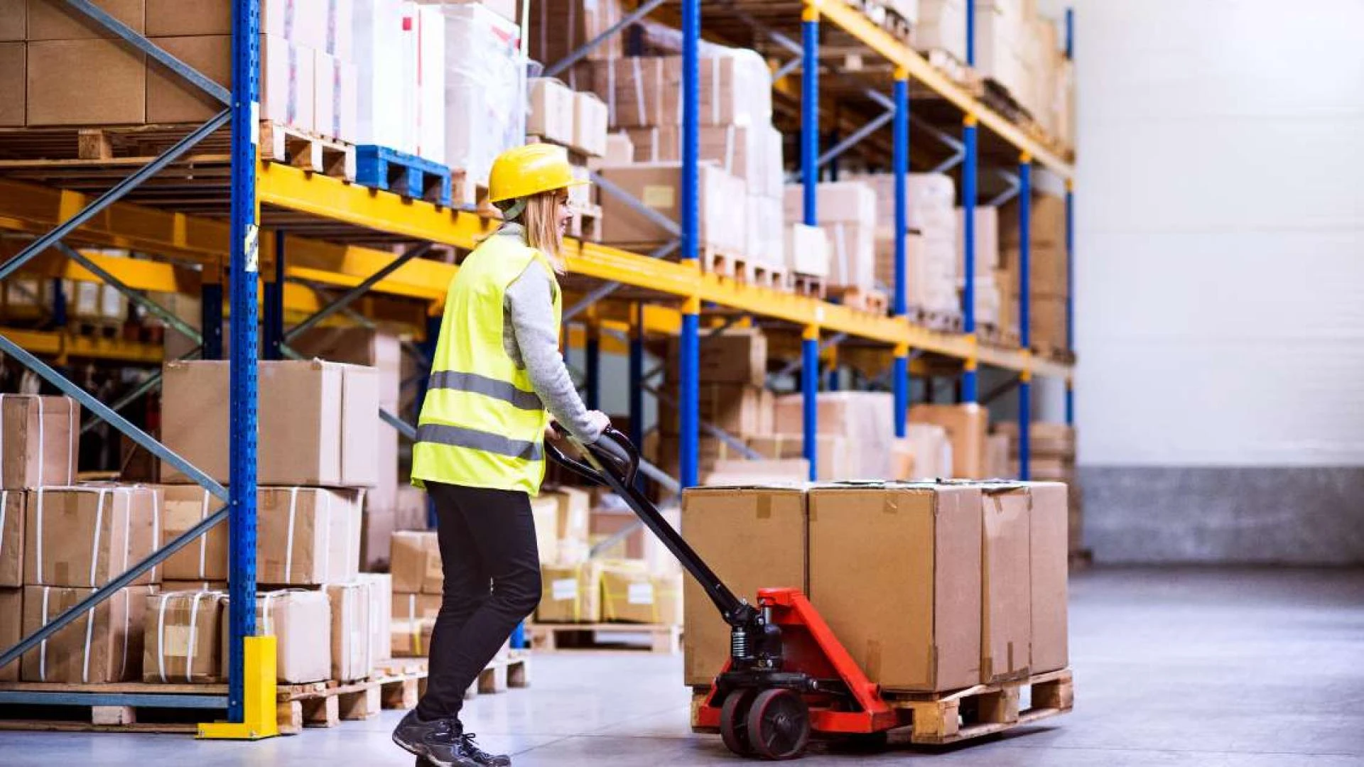 The Key Elements of a Successful and Efficient Warehouse Storage Facility