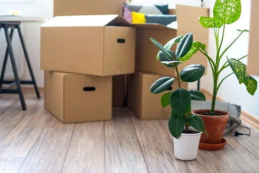 How Can You Easily Move Your Office?