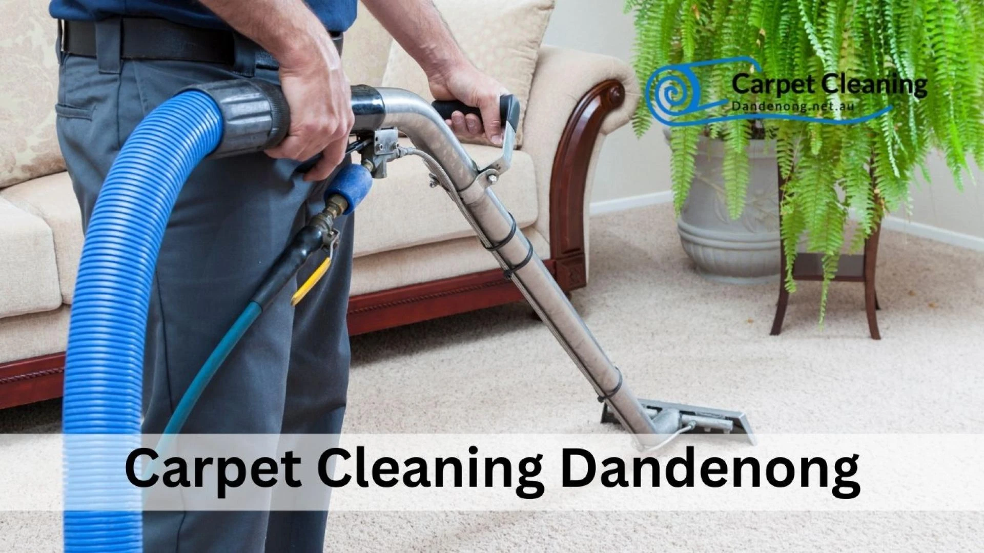5 Things You Should Know Before Calling A Carpet Cleaner