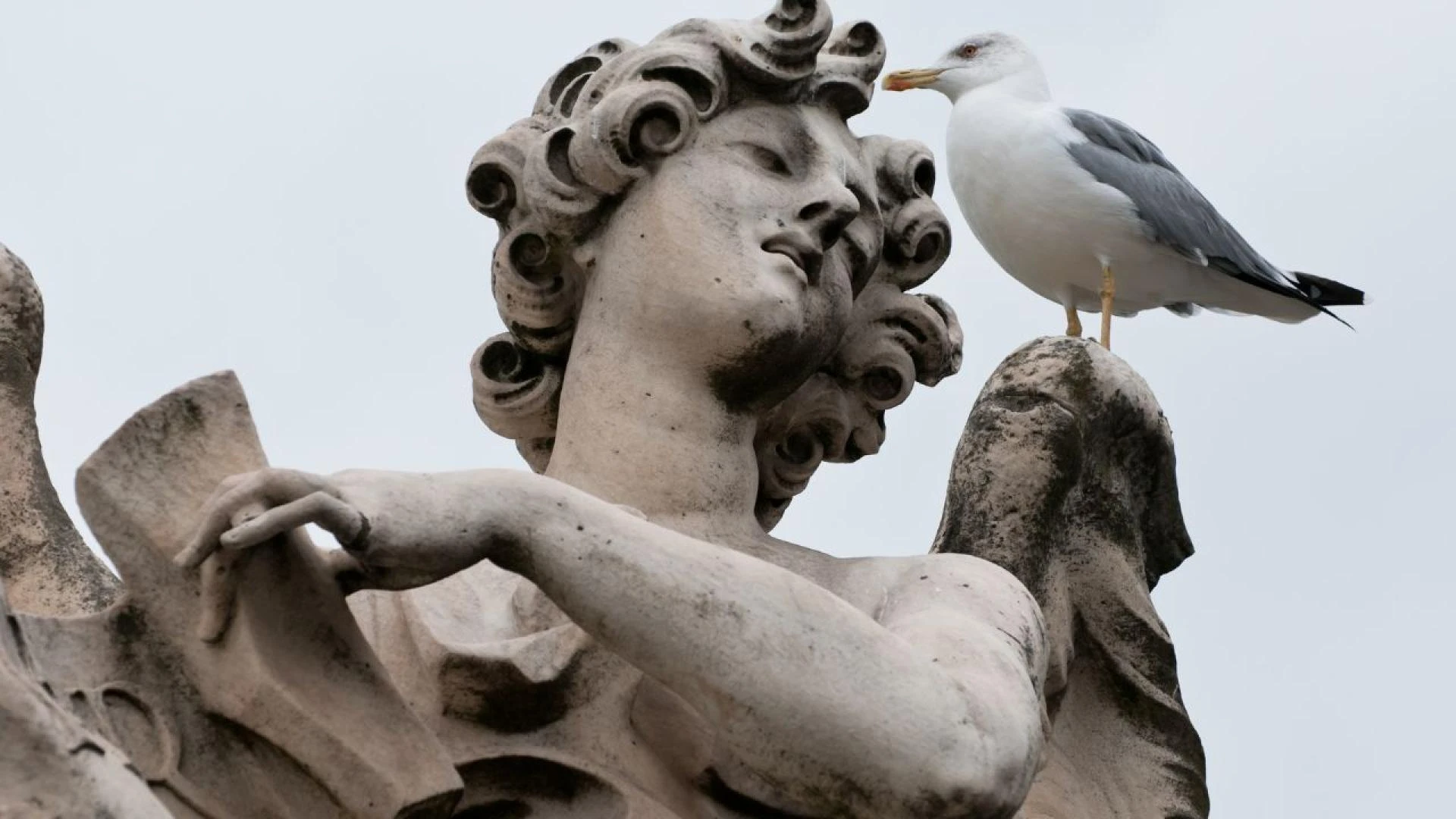 Stone Statues and Bust Sculptures: Masterpieces That Tell Stories