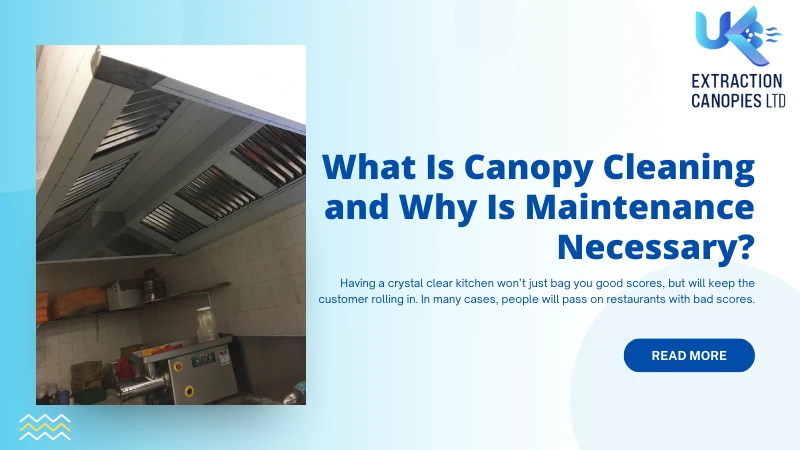 What Is Canopy Cleaning, and Why Is Maintenance Necessary?