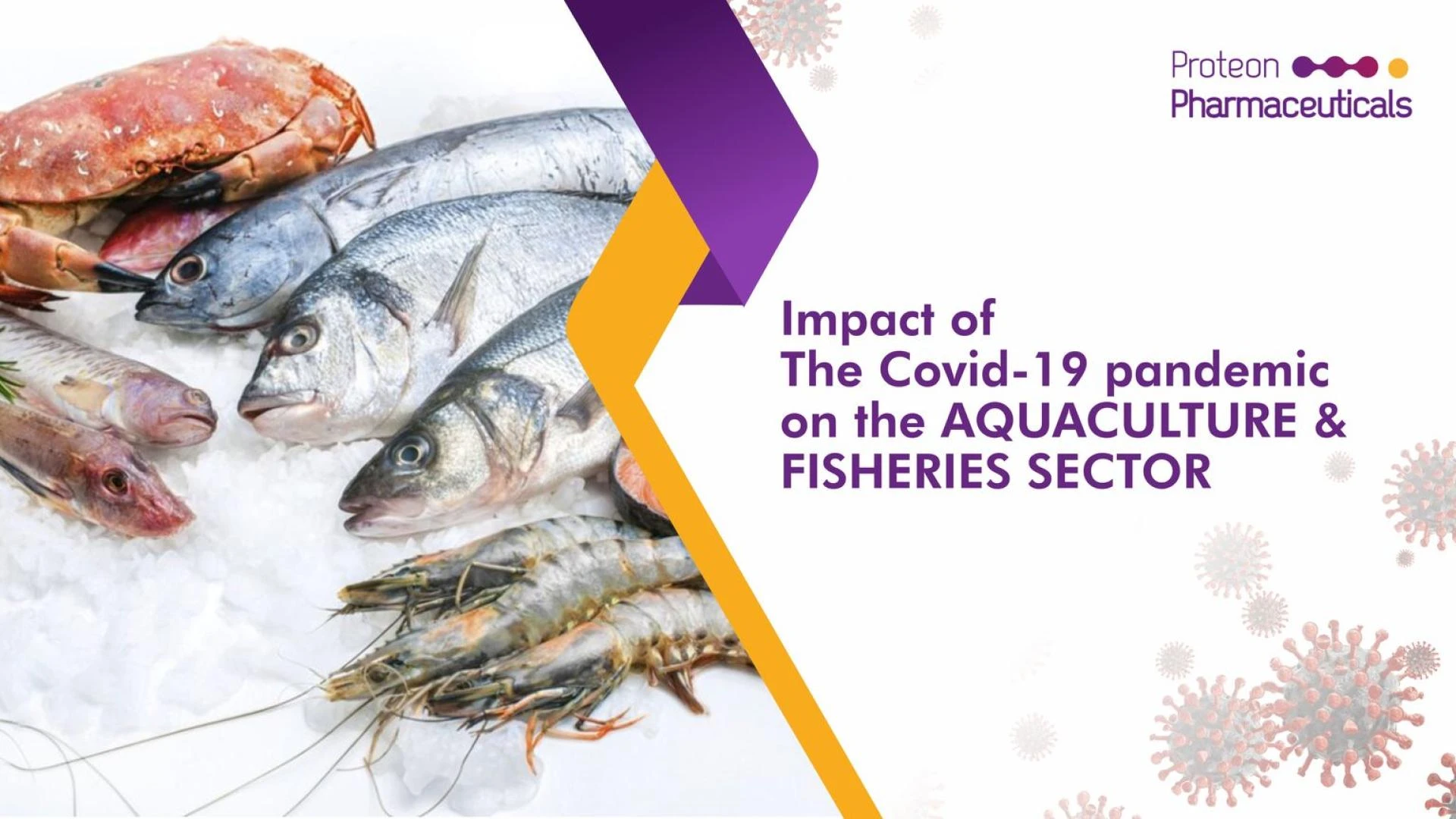 What is The Impact of The Covid-19 pandemic on the Aquaculture and Fisheries sector?