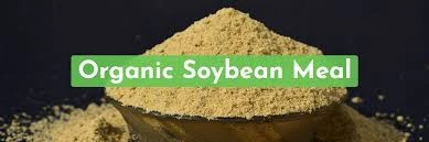 Organic Soymeal Market Size, Share, and Sales Outlook Demand (2024-2030)"