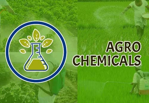 Agrochemicals Market Growth Size, Share, and Forecast Analysis 2024-2030