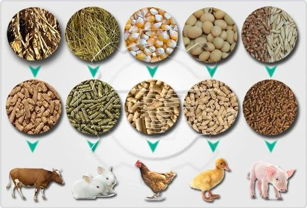 Animal Feed Market Trends in Global Share and Demand Research 2024-2030