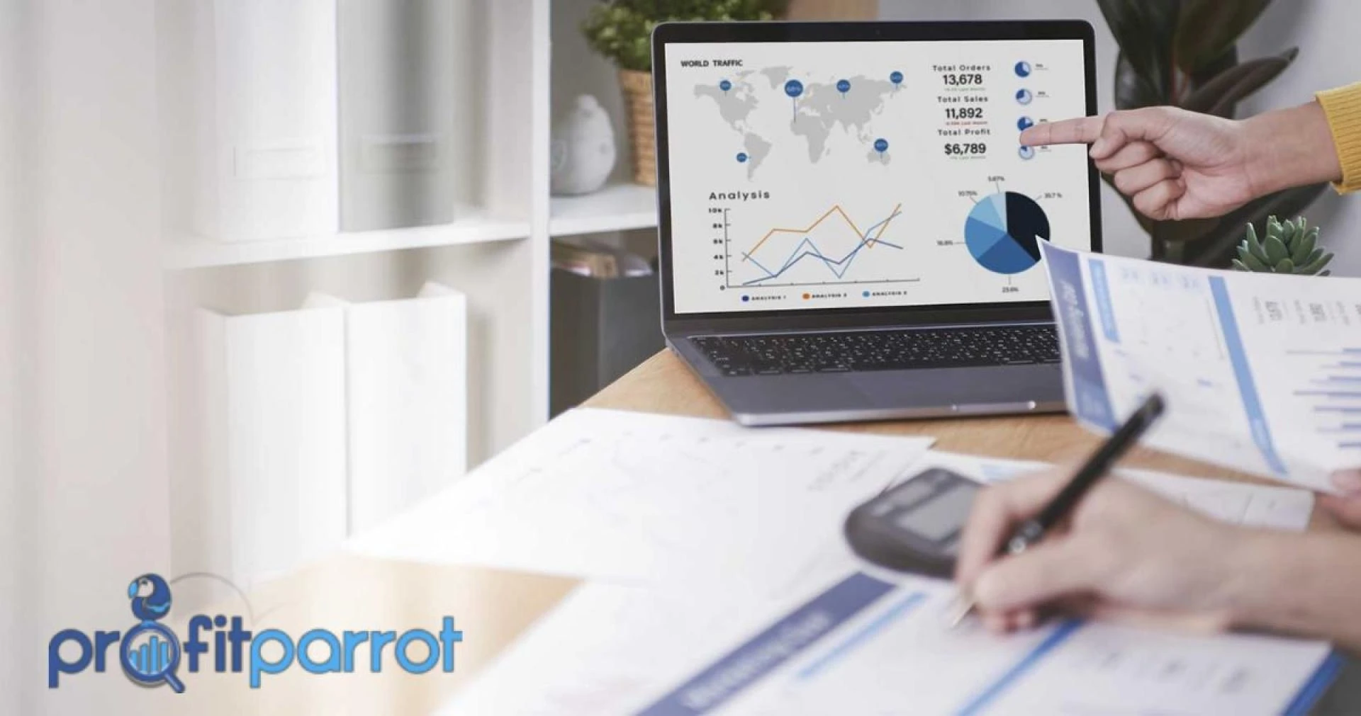 Elevating Your Digital Kingdom with the Magic of Hamilton SEO Company